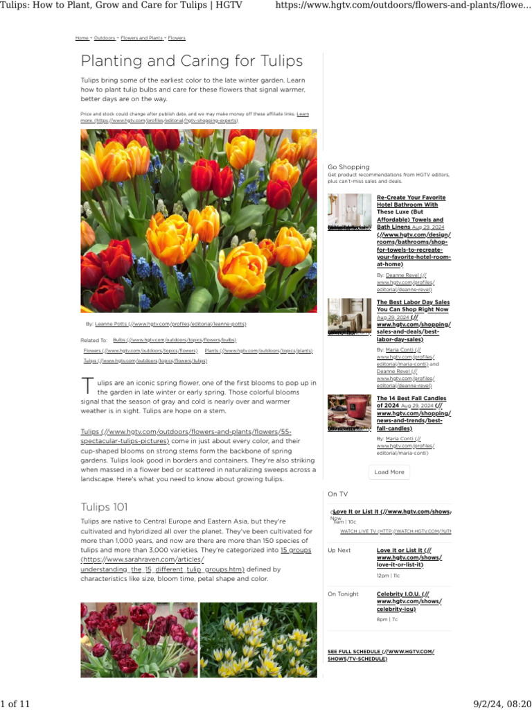 Care Guide For Cafe Noir Tulips Pdf Tulip Mulch