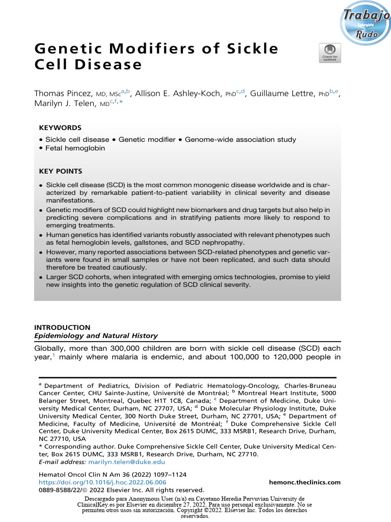 Genetic Modifiers of Sickle | PDF