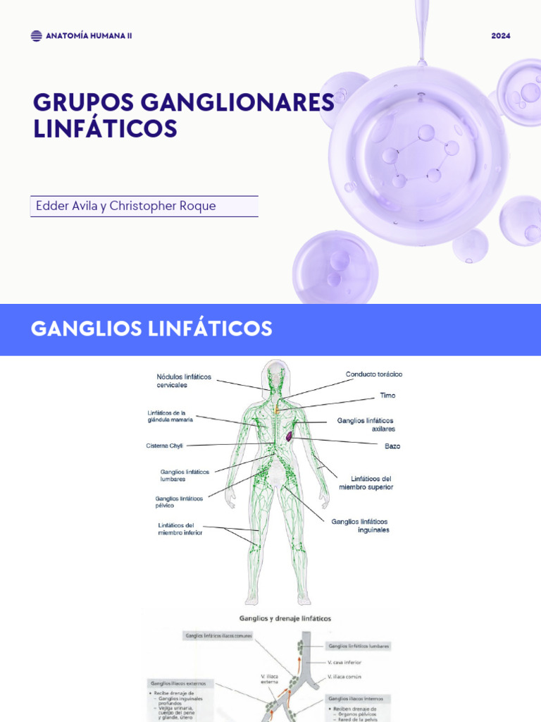 Sistema Linfático Pdf