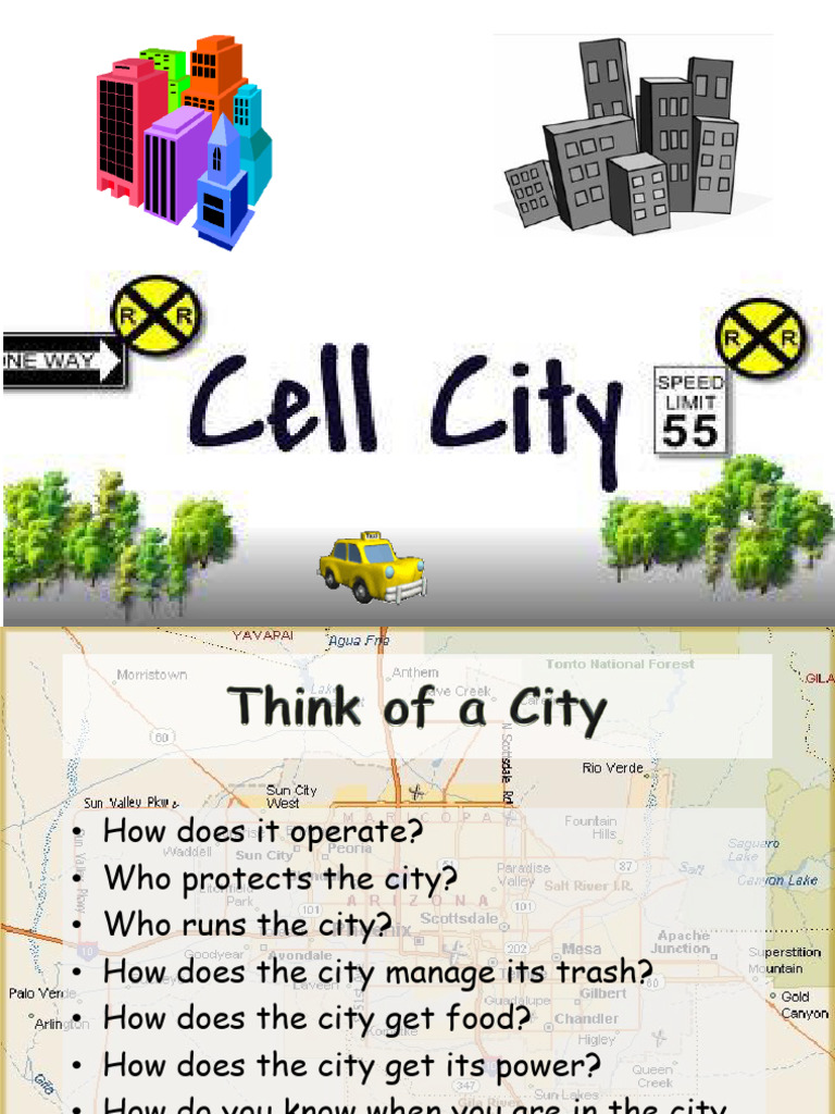 Cell City | PDF