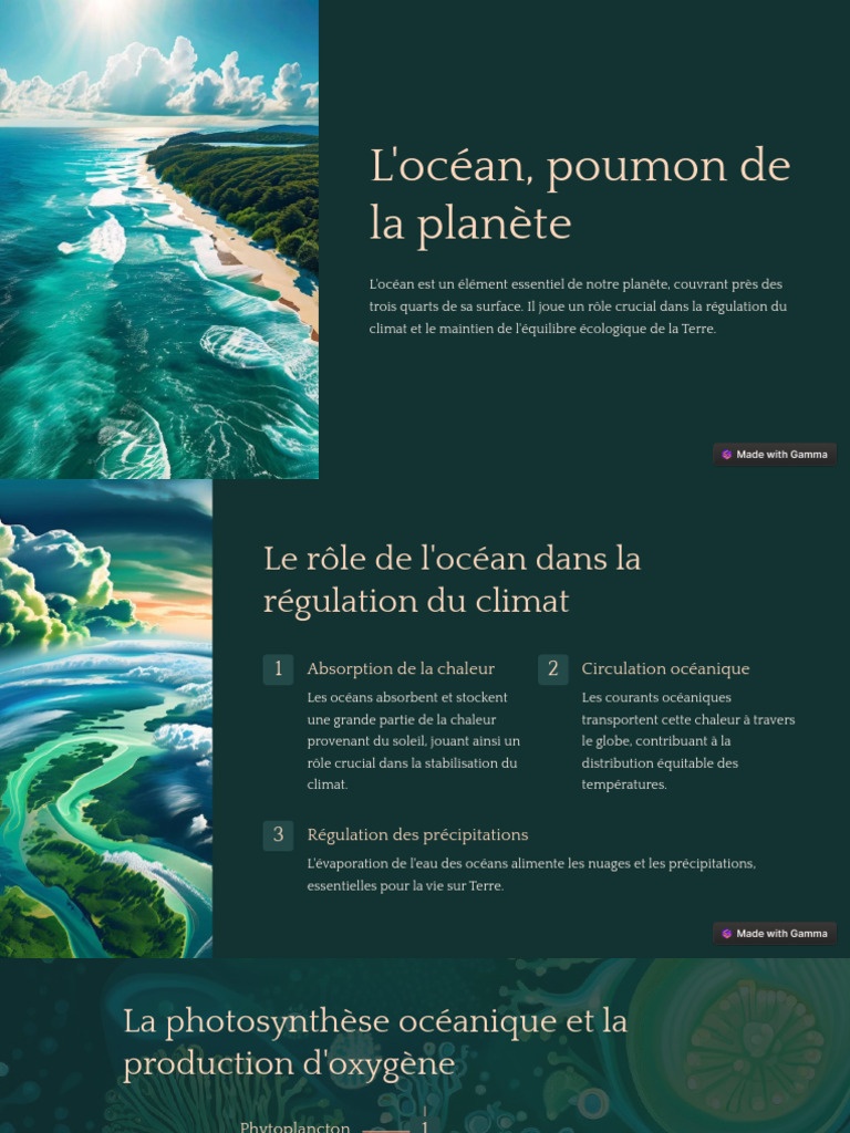 Locean Poumon de La Planete | PDF