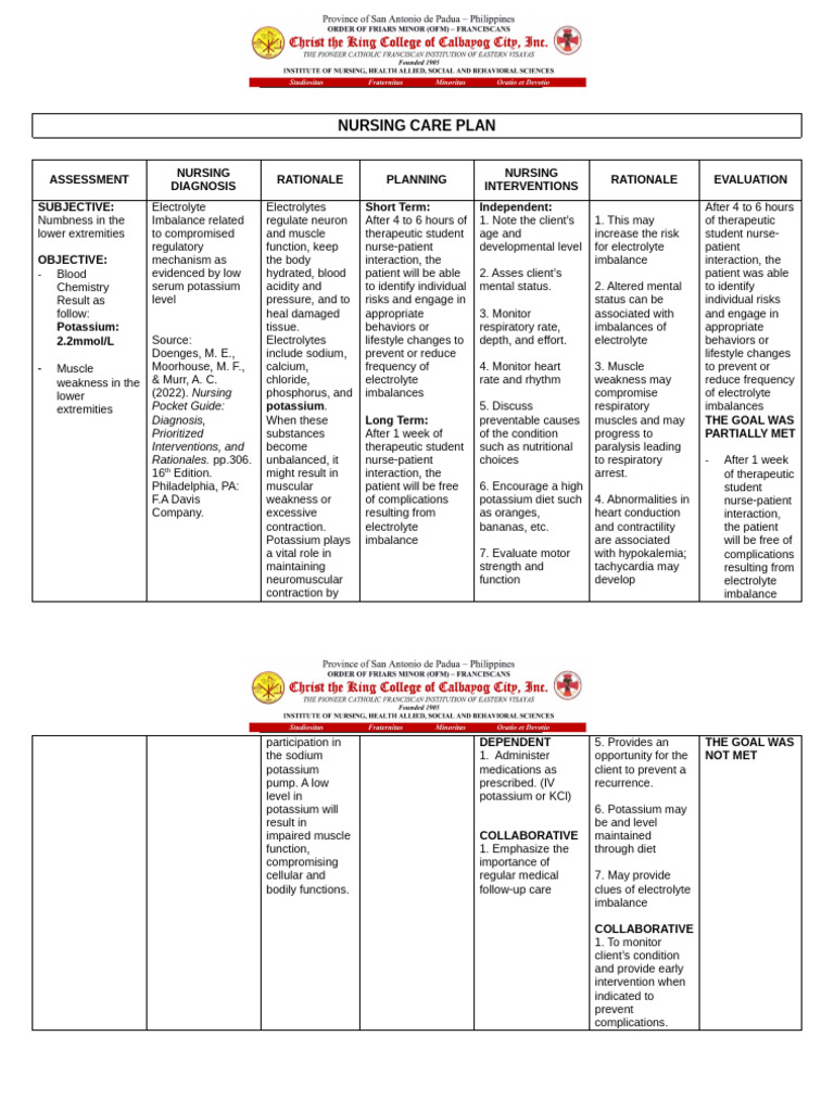 NURSING CARE PLAN (Electrolyte Imbalance) | PDF | Electrolyte 