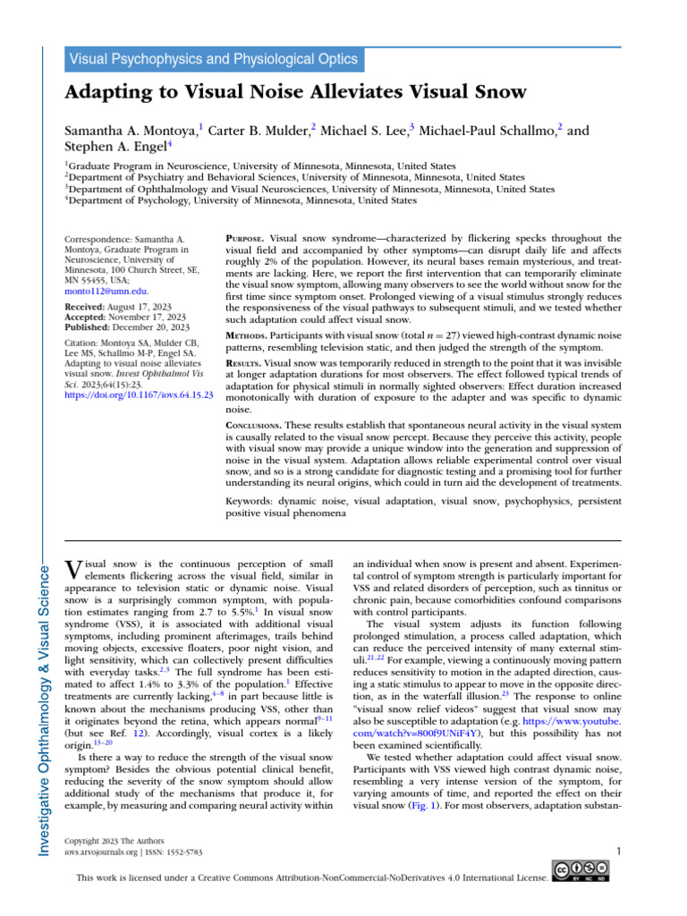 Montoya Et Al. - 2023 - Adapting To Visual Noise Alleviates Visual Snow ...