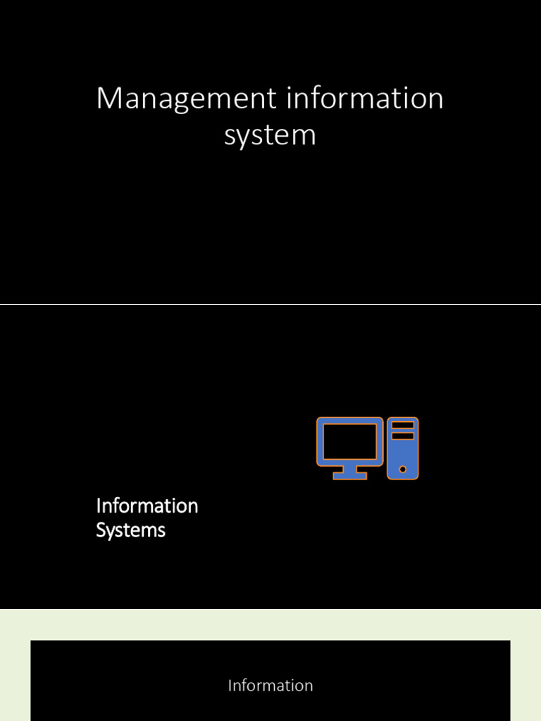 Computer Based Information System-SA | PDF