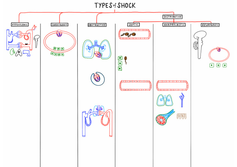 Image Result For Types Of Shock Septic Anaphylactic And Neurogenic Shock