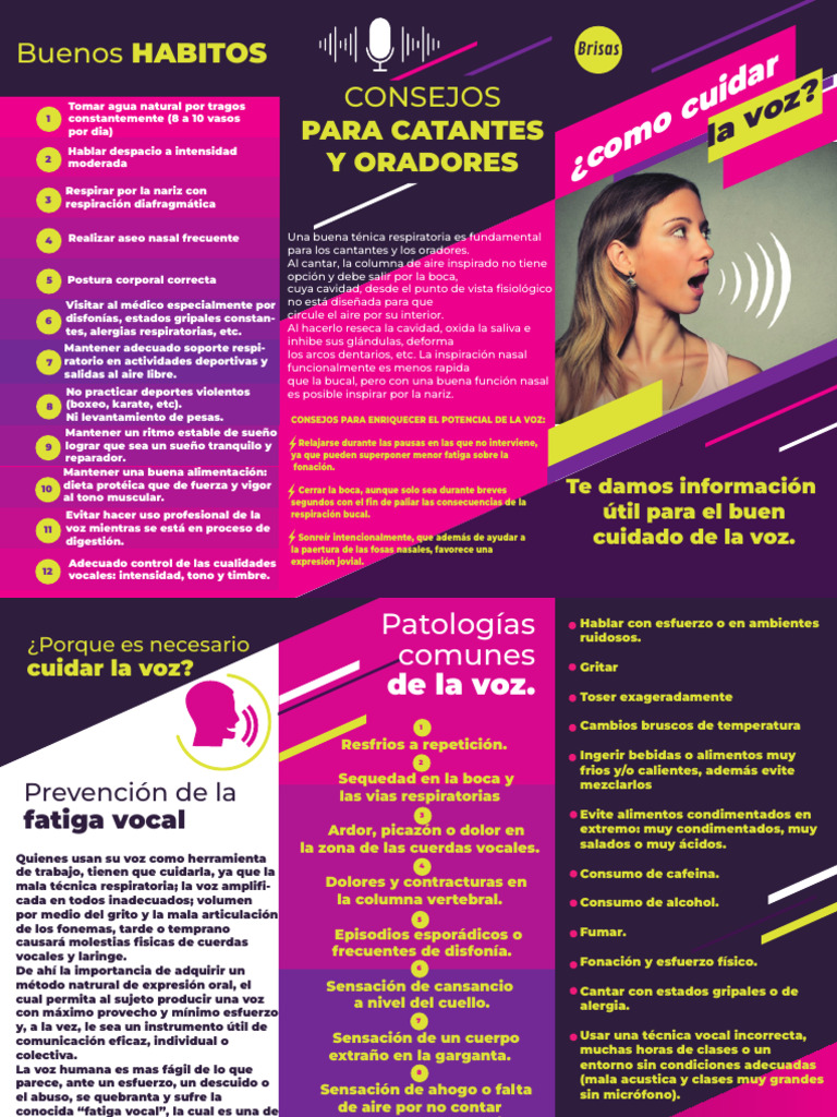 Folleto Cuidado de La Voz | PDF
