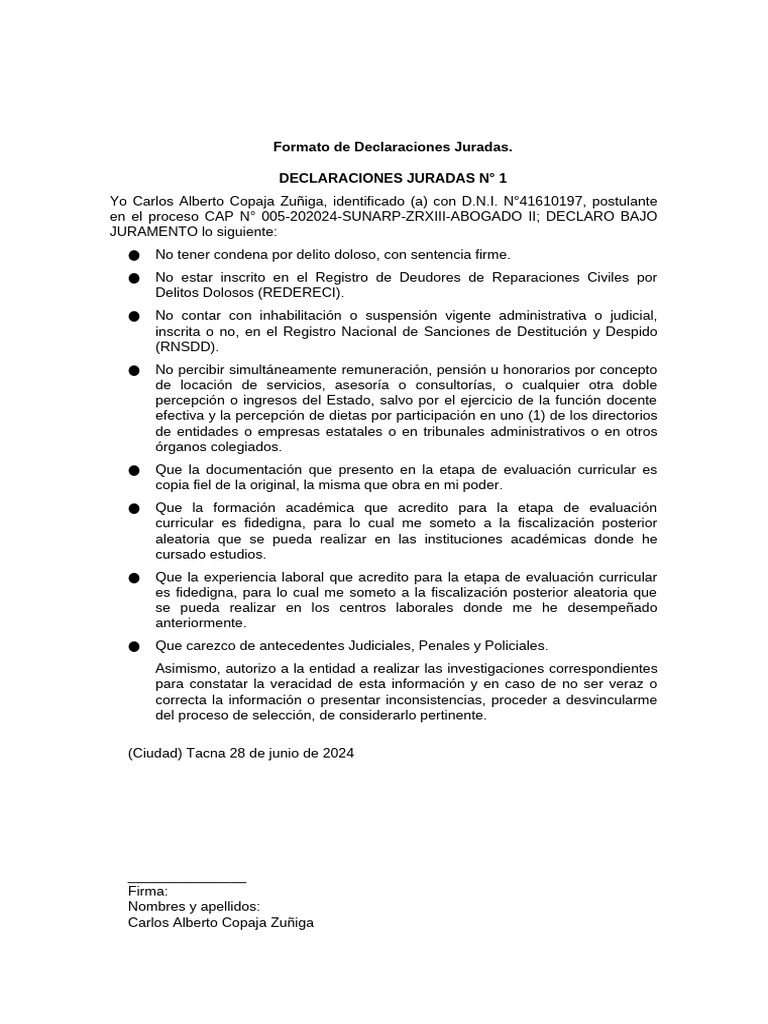 Formato de Declaraciones Juradas | PDF