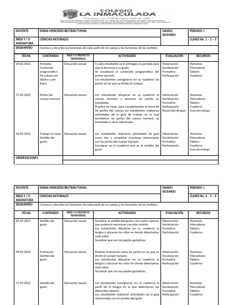 Plan de Aula Grado Segundo | PDF