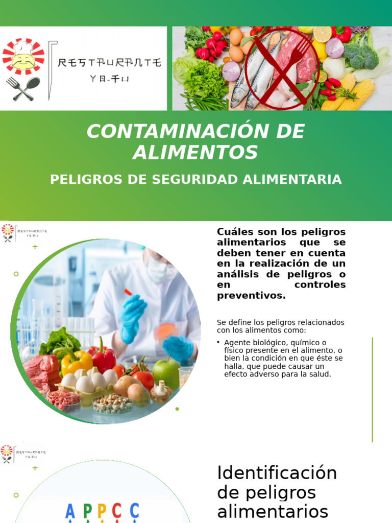 Contaminación de Alimentos | PDF