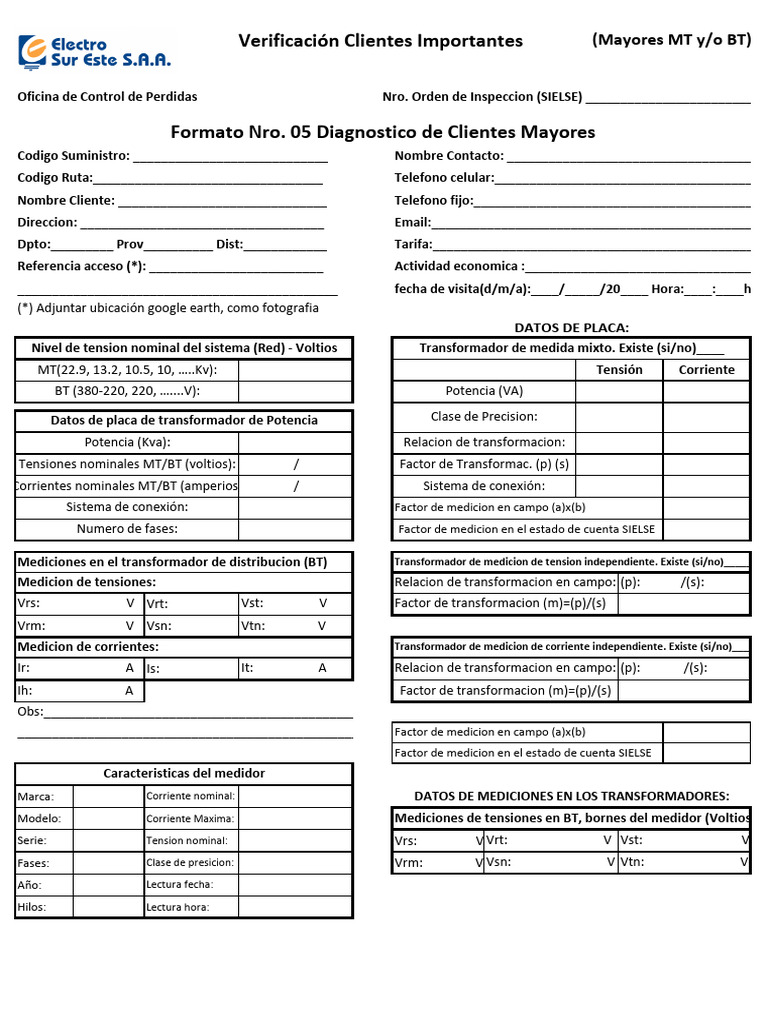 Fomato de Clientes Importantes | PDF