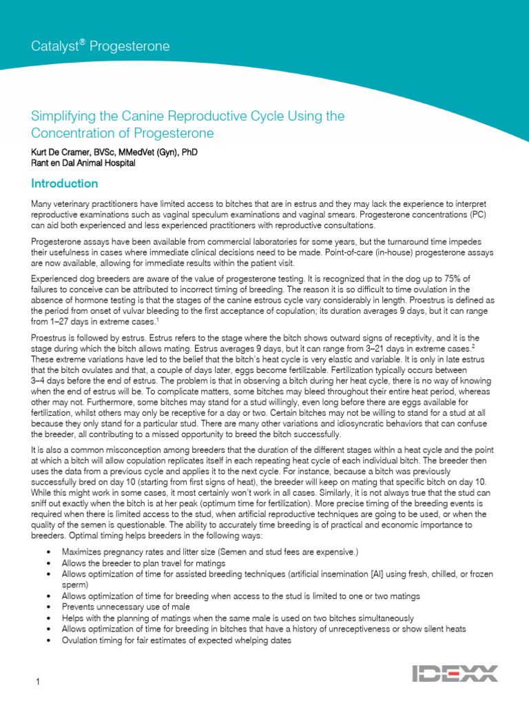 Protest | PDF