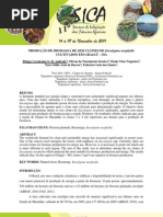 PRODUÇÃO DE BIOMASSA DE SEIS CLONES DE Eucalyptus urophylla CULTIVADOS EM GRAJAÚ