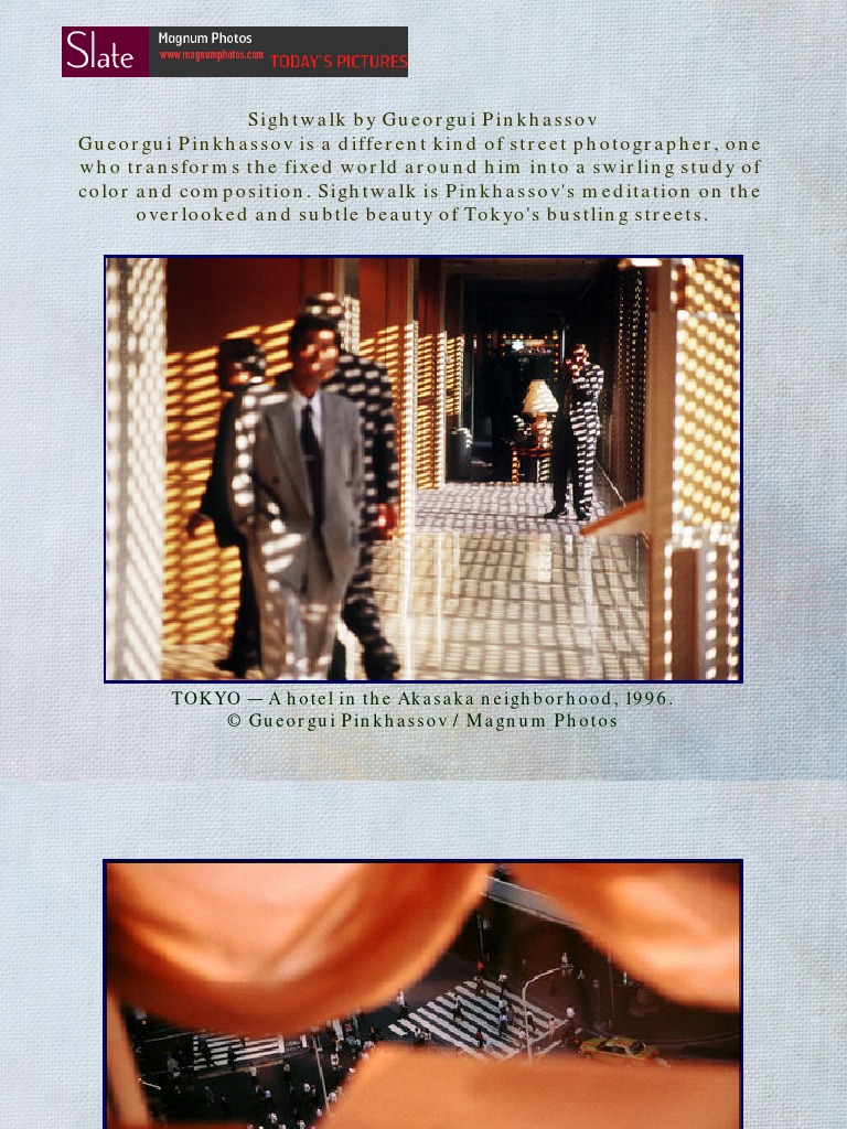 Gueorgui Pinkhassov's Tokyo Sightwalk | PDF