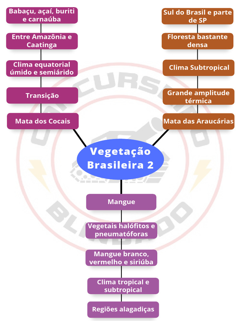 Vegetac o Es+brasileiras+2 | PDF
