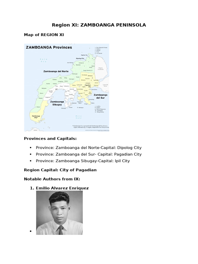 Region IX STEM A | PDF