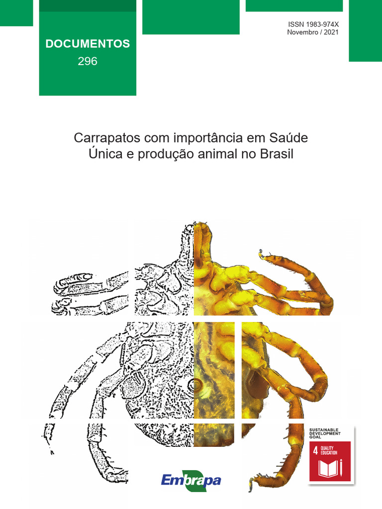 296 Final em Alta | PDF