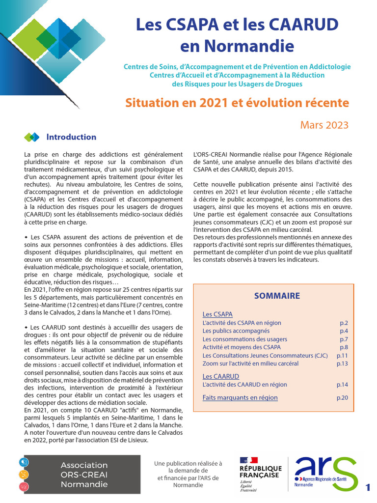 2023 Synthese CSAPA CAARUD Activite 2021 | PDF