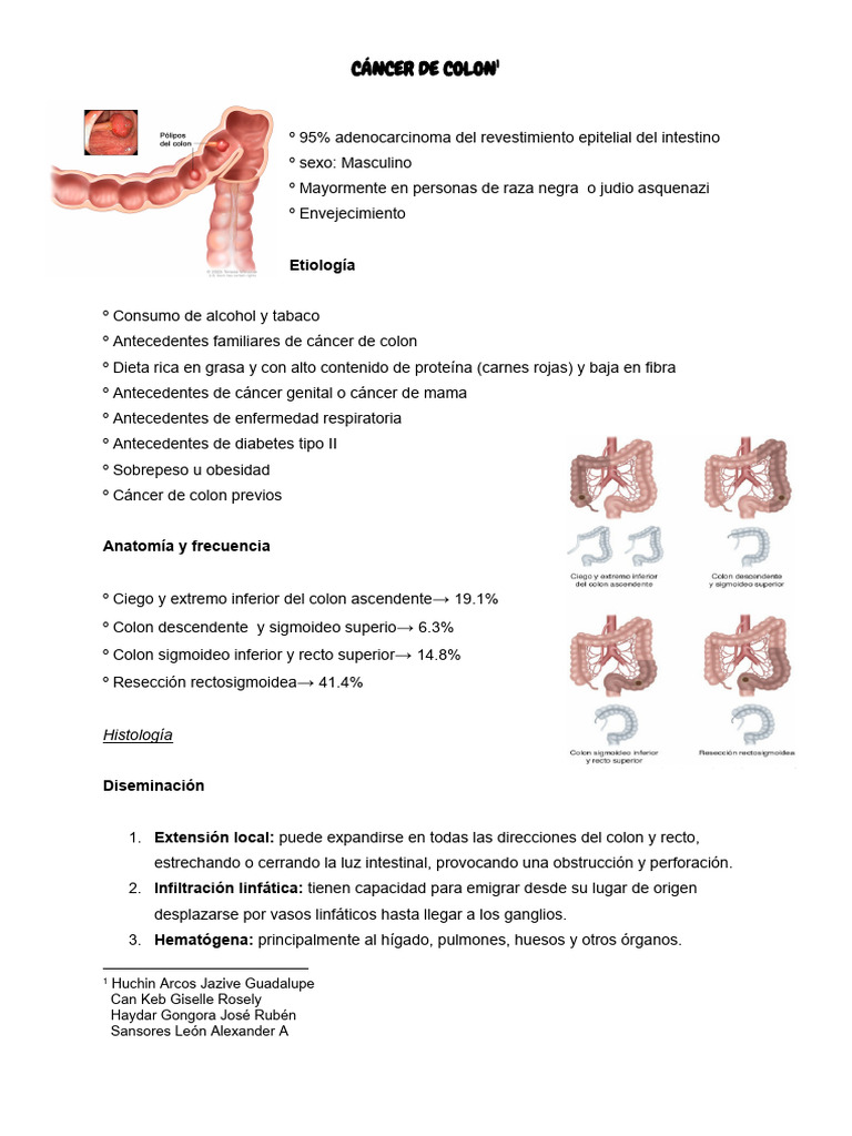 Cáncer de Colon | PDF | Cáncer colonrectal | Ciencia y matemáticas