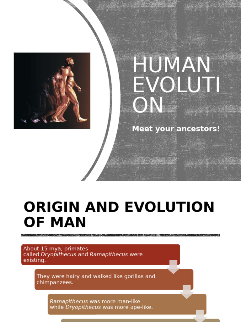 Human Evolution | PDF