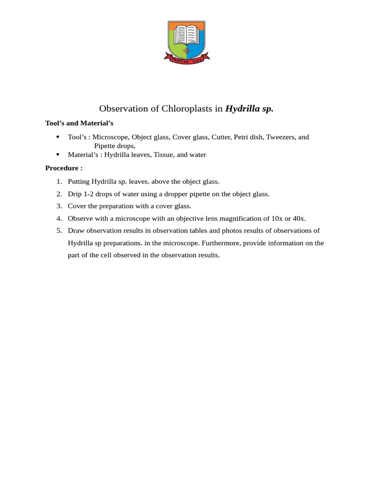 Observation of Chloroplasts in Hydrilla SP | PDF | Electromagnetic ...