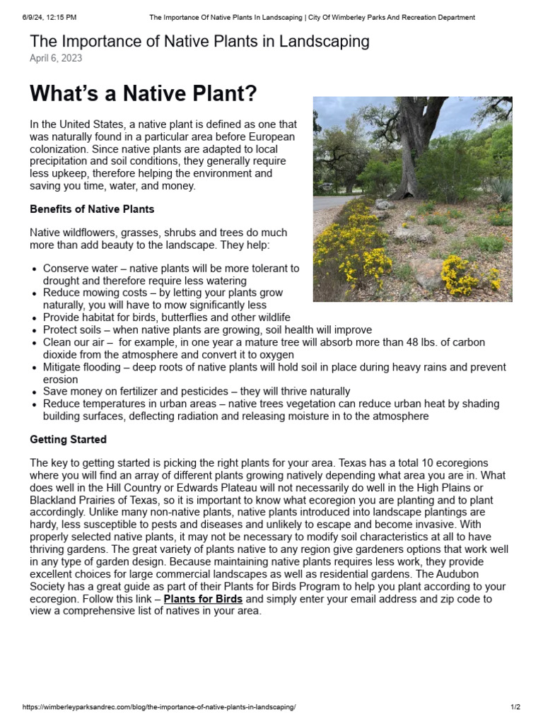The Importance of Native Plants in Landscaping - City of Wimberley ...