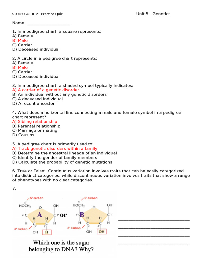 Study Guide 2 | PDF