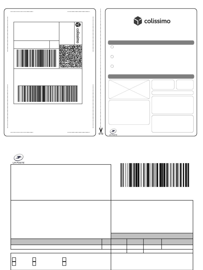 Colissimo Shipping Label and Customs Form | PDF
