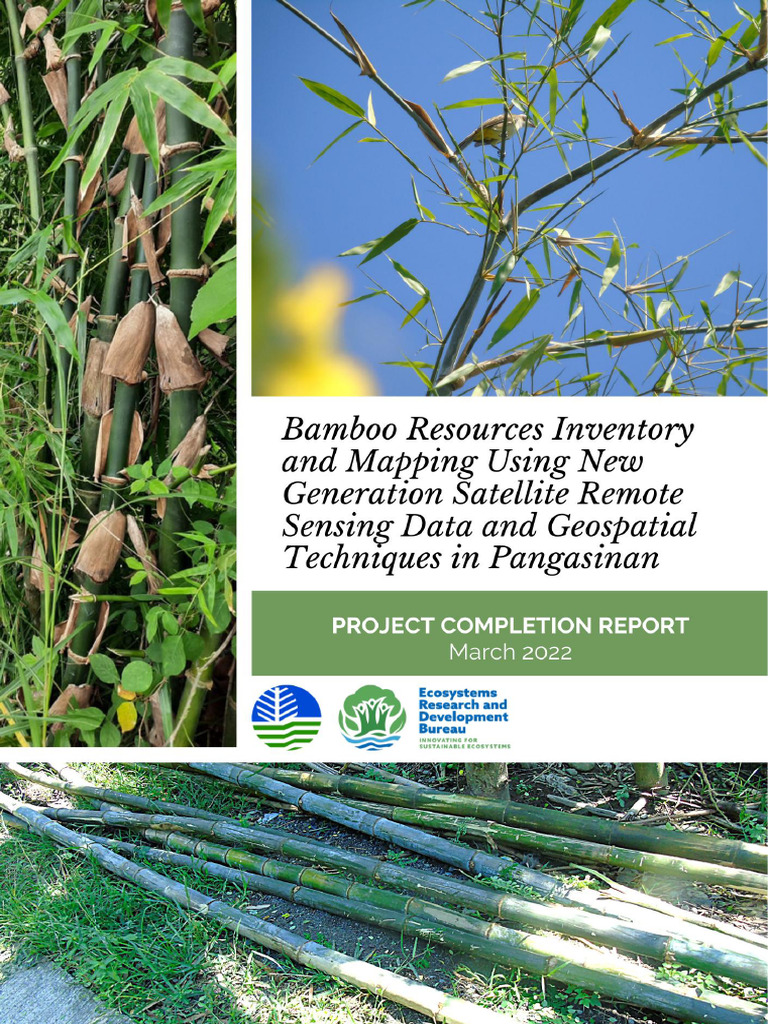 Bamboo Resource Mapping in Pangasinan | PDF | Conservation Biology ...