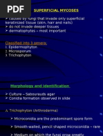 Download Superficial Mycoses by dhainey SN7653650 doc pdf