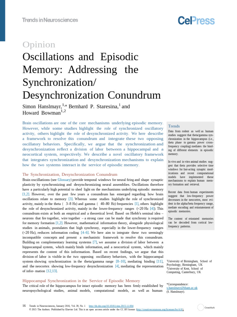 Brain Oscillations and Memory Synchronization | PDF | Neural ...