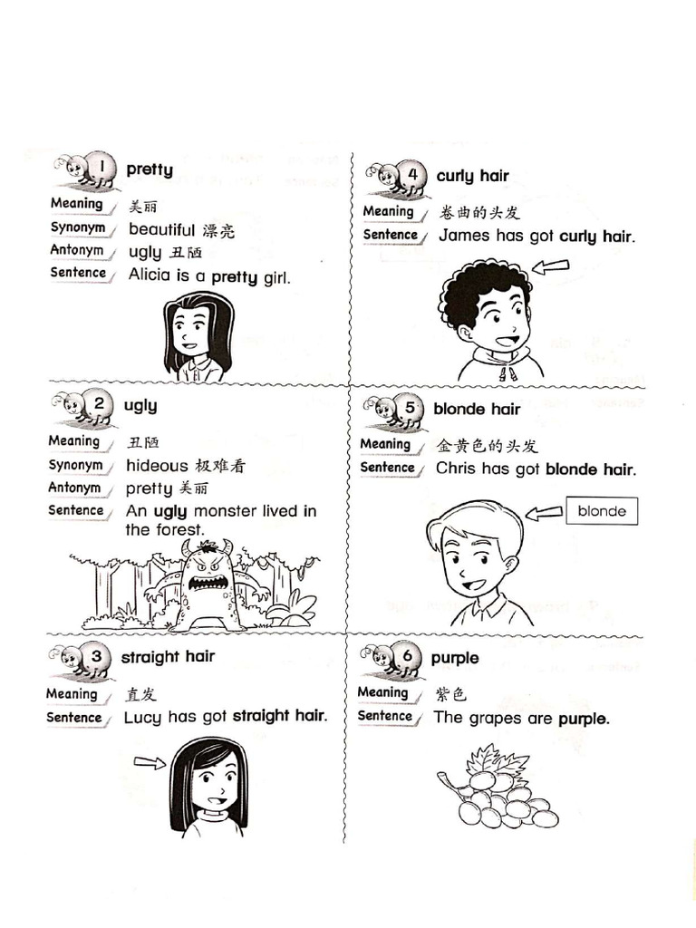 Y3 vocabulary bank pdf