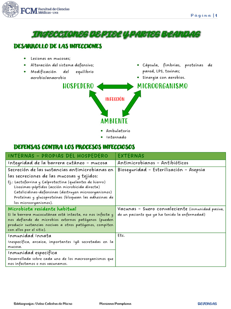 Infección De Piel Y Partes Blandas Pdf