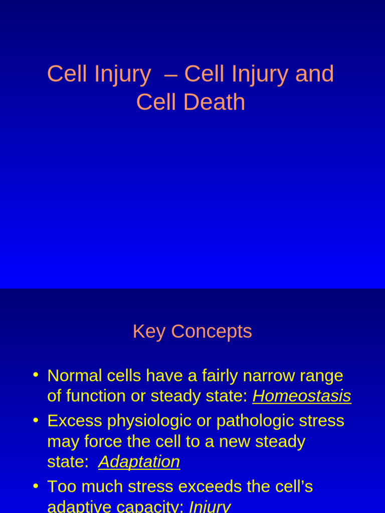 Cell - Injury and Adaptive Cell Alterations | PDF