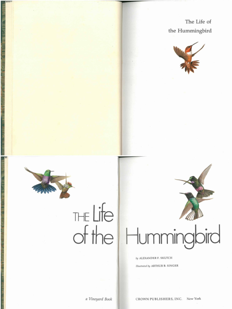 1973 The Life of Hummingbird | PDF