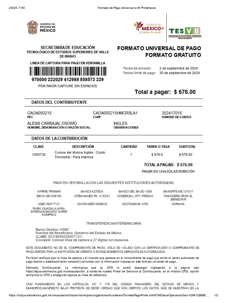 Formato De Pago Pdf