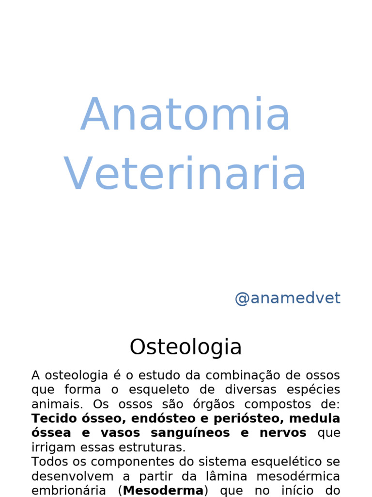 Anatomia Veterinaria Resumo Pdf