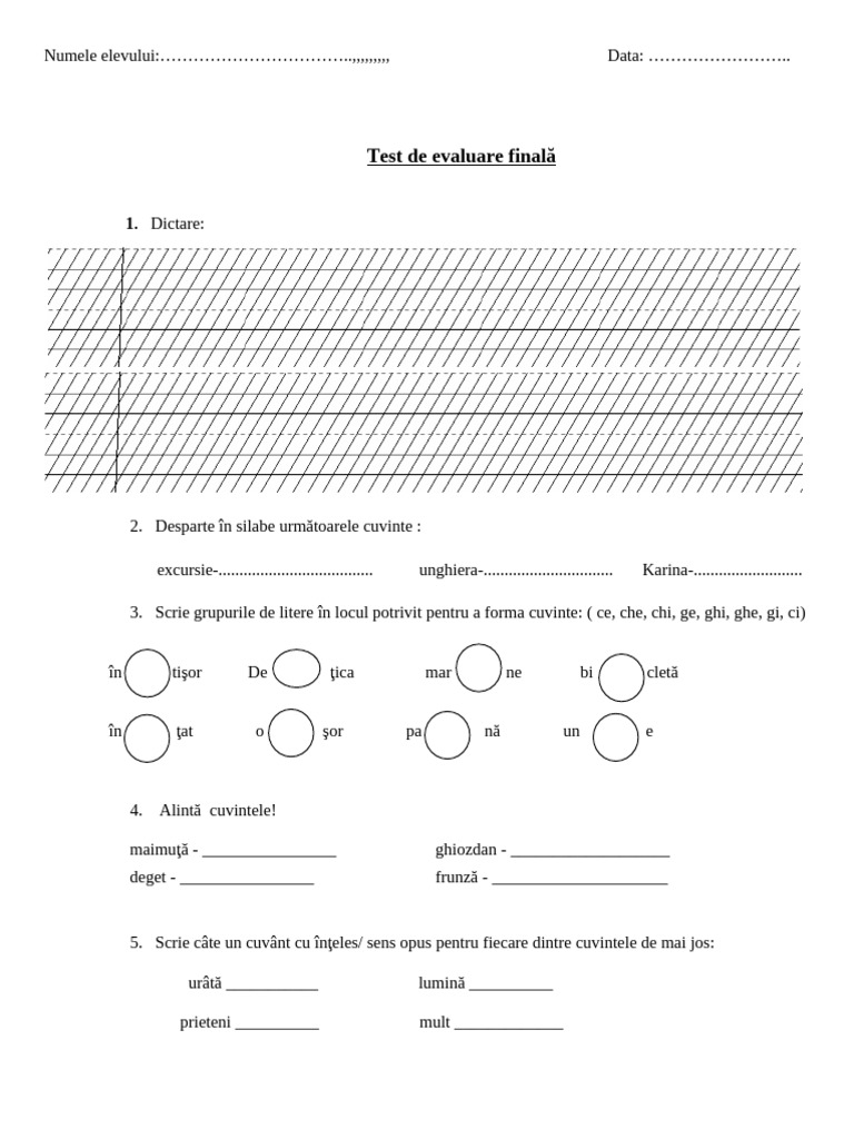 Evaluare Finala CLR 06.06.2019 | PDF