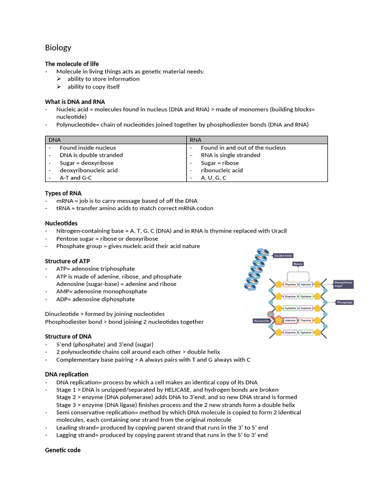 By - DNA | PDF