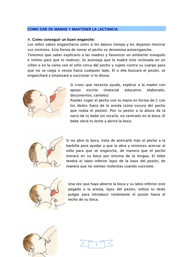 Como Dar de Mamar y Mantener La Lactancia | PDF