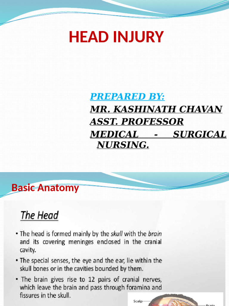 Head Injury | PDF