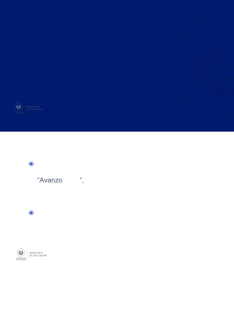 Avanzo 2024 | PDF