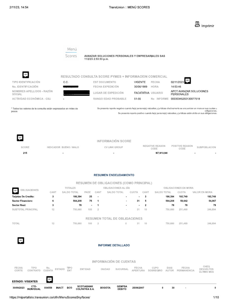Explicacion Reporte Transunion | PDF