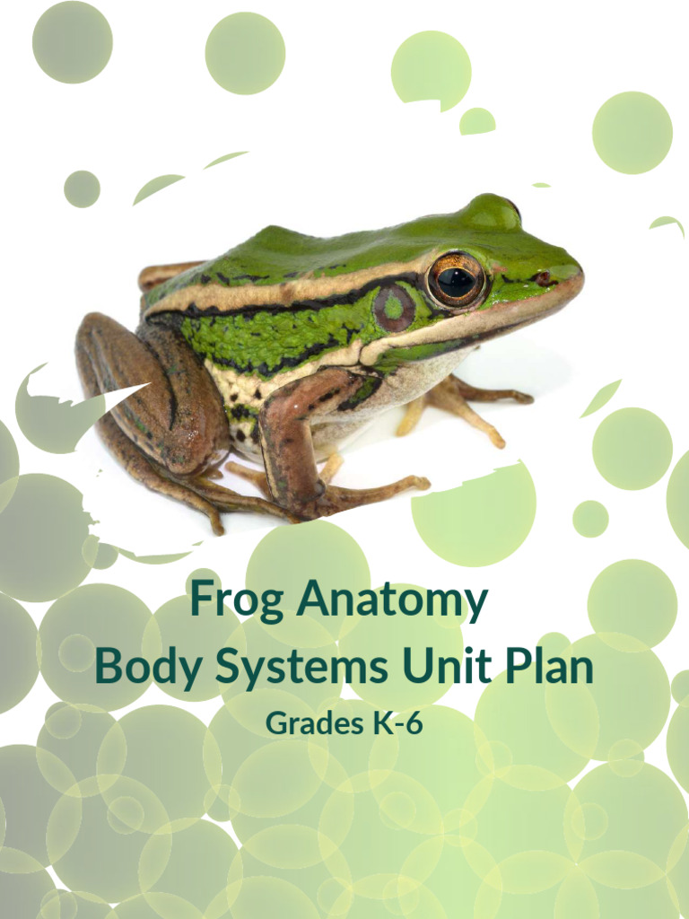 Humane Science Frog Anatomy Grades K 6 Unit Plan | PDF