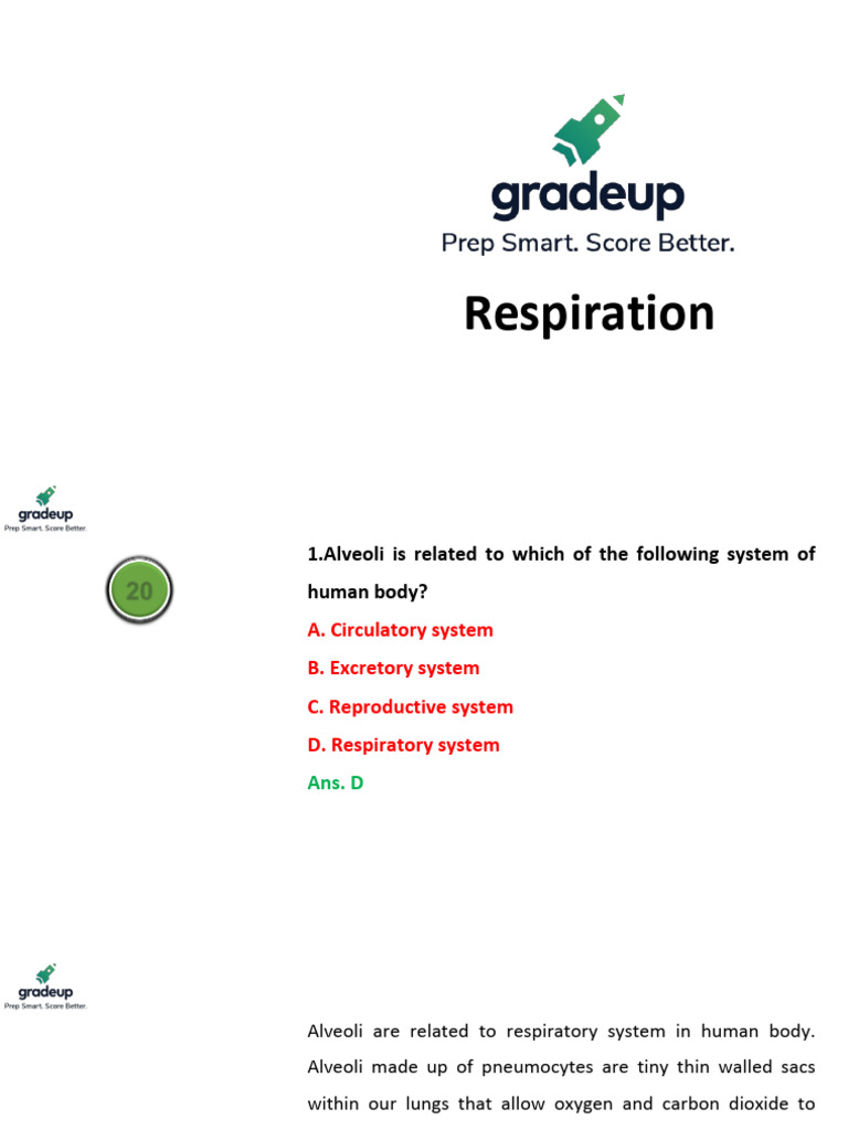 Understanding Even Unlabored Respirations The Ultimate Guide - 33wgtzc