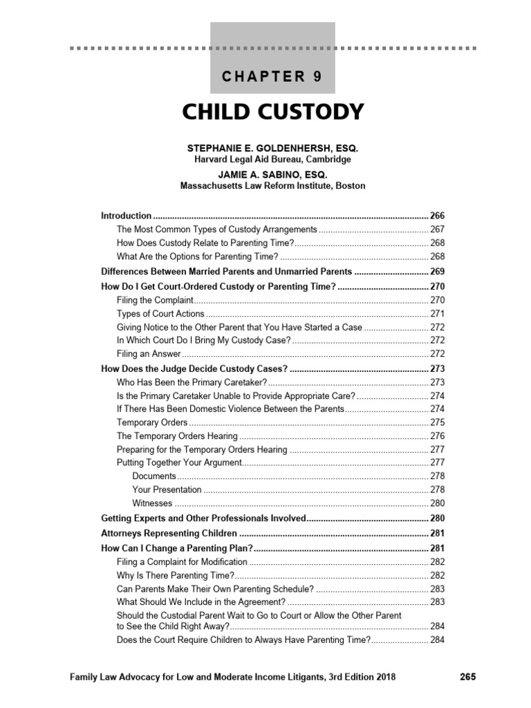 Child Custody Guide for Parents | PDF | Child Custody | Contact (Law)