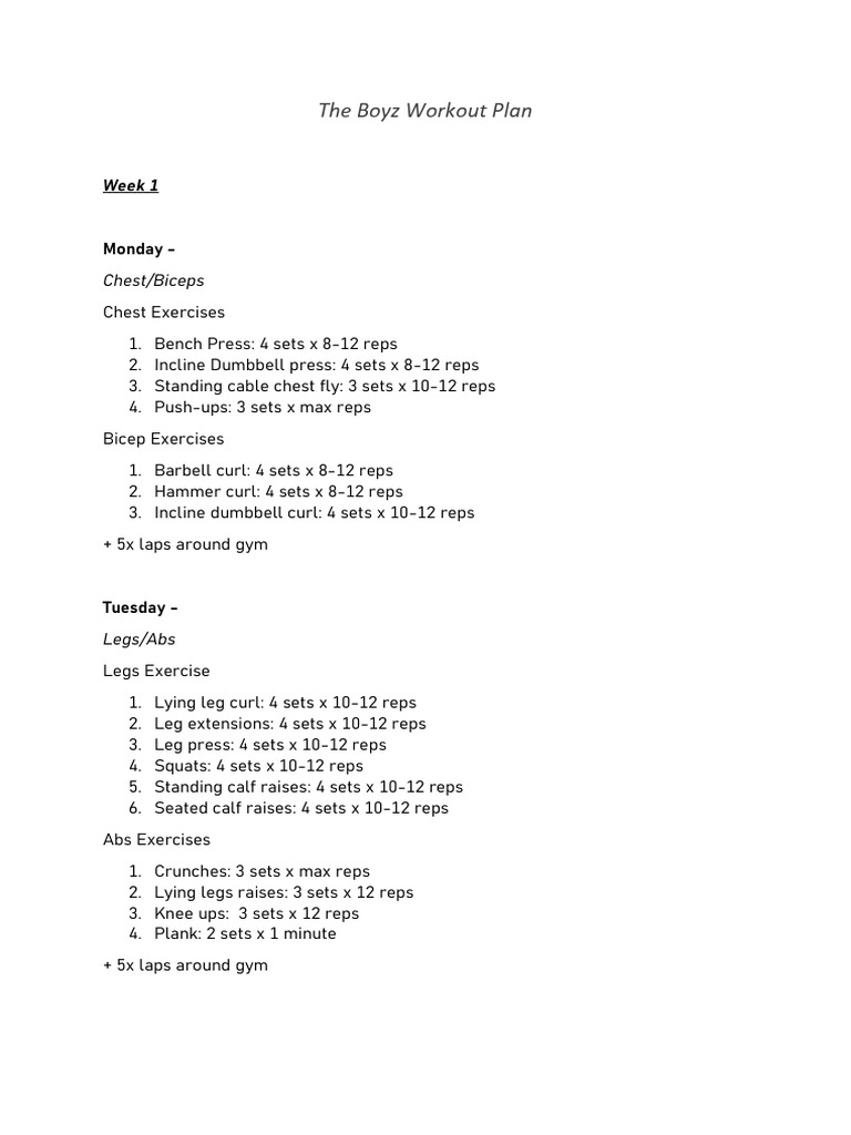 The Boyz Workout Plan | PDF