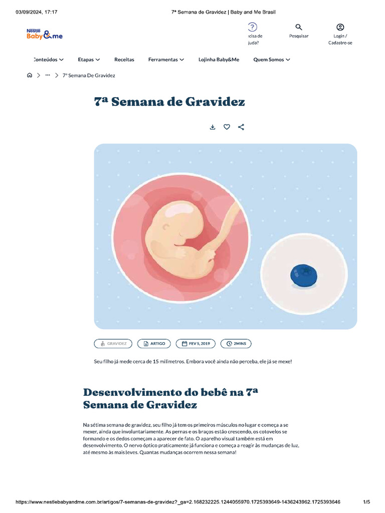 7 Semana de Gravidez | PDF