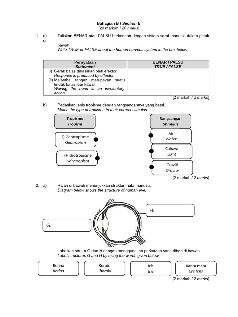 Ubk T3 BHG B | PDF