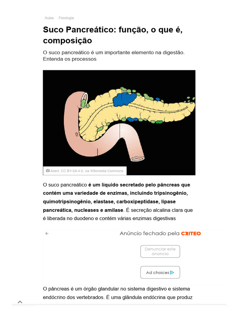 Suco Pancreático - Função, o Que É, Composição - Planeta Biologia | PDF