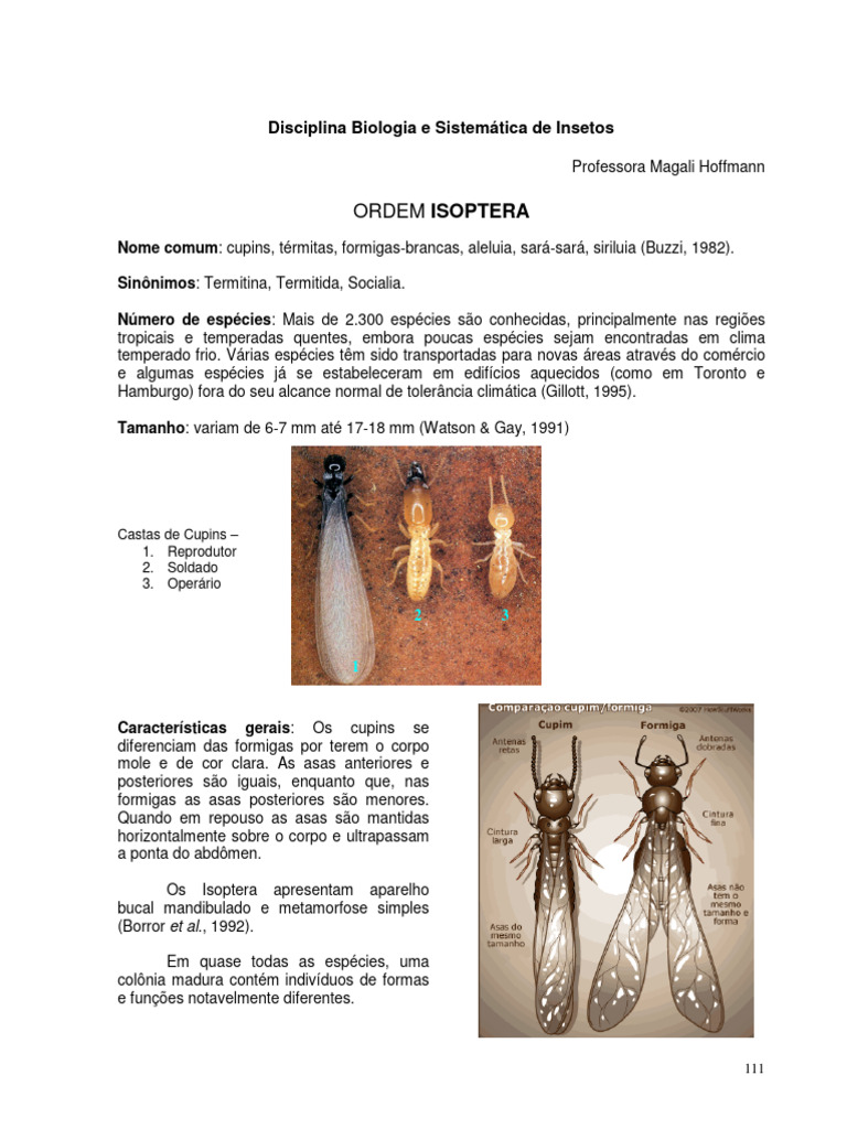 2011 - Isoptera e Mantodea | PDF
